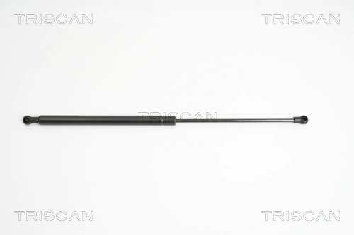 Gas Spring, boot/cargo area