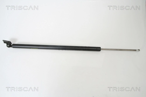Gas Spring, boot/cargo area