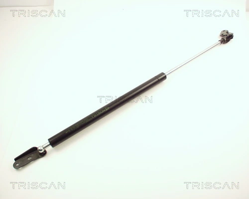 Gas Spring, boot/cargo area