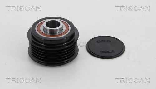 Alternator Freewheel Clutch