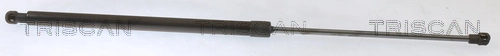 Gas Spring, boot/cargo area
