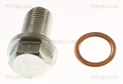 Screw Plug, oil sump