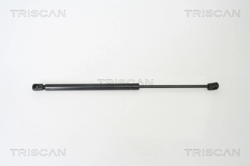 Gas Spring, boot/cargo area