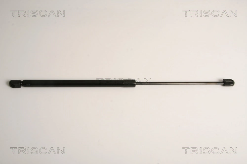 Gas Spring, boot/cargo area