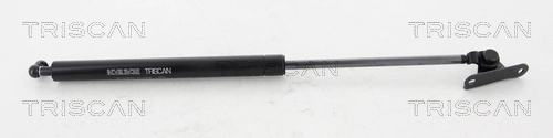 Gas Spring, boot/cargo area