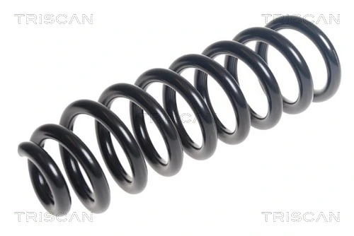 Fjeder