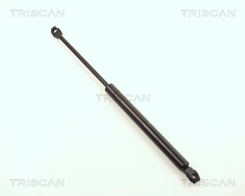 Gas Spring, boot/cargo area