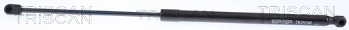 Gas Spring, boot/cargo area