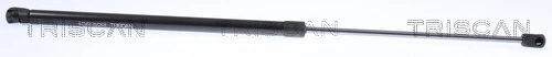 Gas Spring, boot/cargo area
