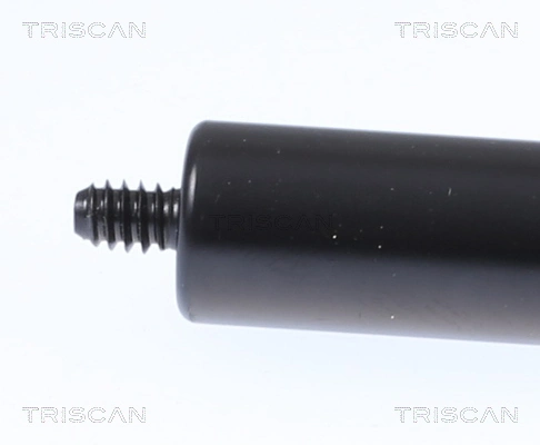 5613a384e0091be7576aafc2ace4ed31b9624d32.webp — 2