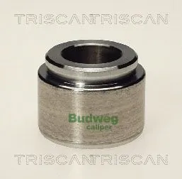 Stempel, bremsekaliber