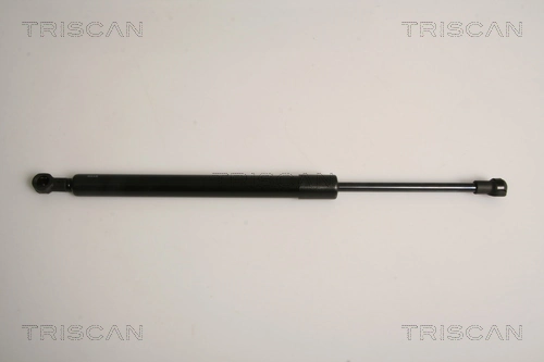 Gas Spring, boot/cargo area