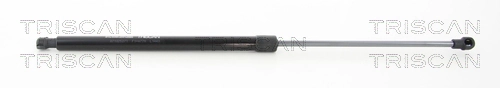 Gas Spring, boot/cargo area