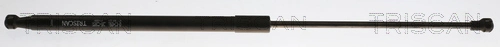 Gas Spring, boot/cargo area