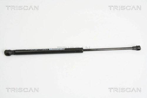Gas Spring, boot/cargo area