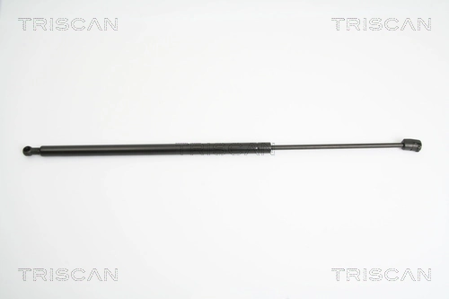 Gas Spring, boot/cargo area
