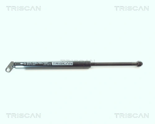 Gas Spring, boot/cargo area