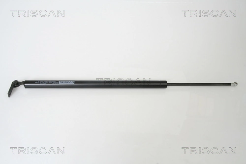 Gas Spring, boot/cargo area