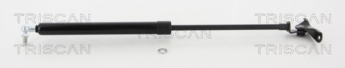 Gas Spring, boot/cargo area