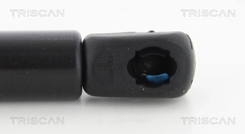 Gas Spring, boot/cargo area