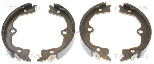Parking Brake Shoe Set