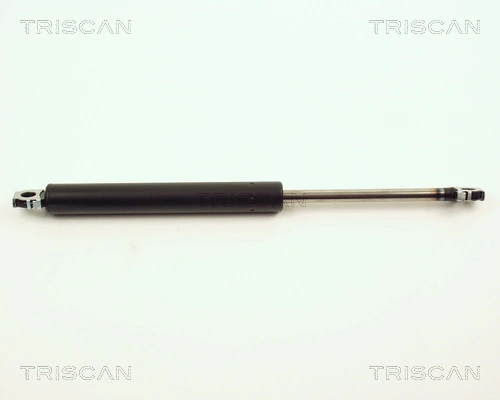 Gas Spring, boot/cargo area