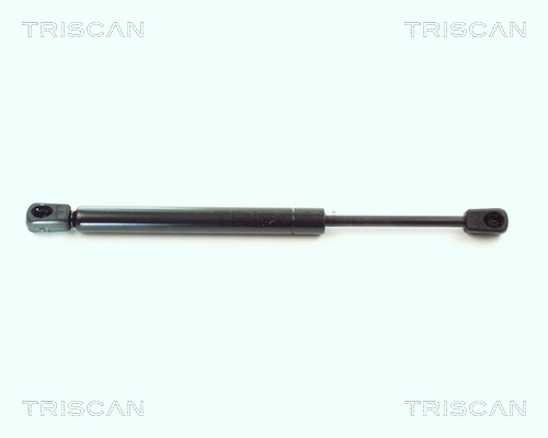 Gas Spring, boot/cargo area
