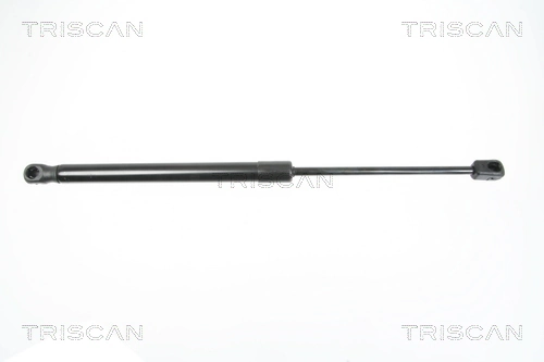 Gas Spring, boot/cargo area