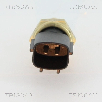 a166958c7fd627a3e804ab599da24e4e71136de4.webp — 2