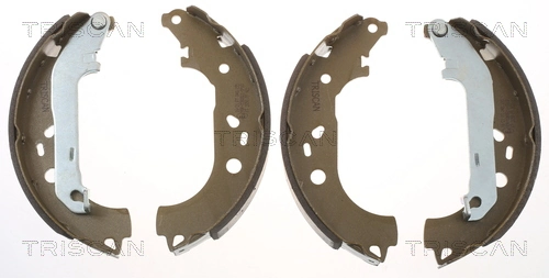 Parking Brake Shoe Set