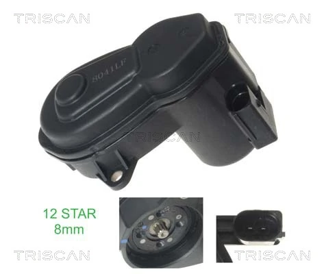 Control Element, parking brake caliper
