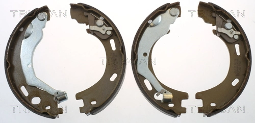 Parking Brake Shoe Set