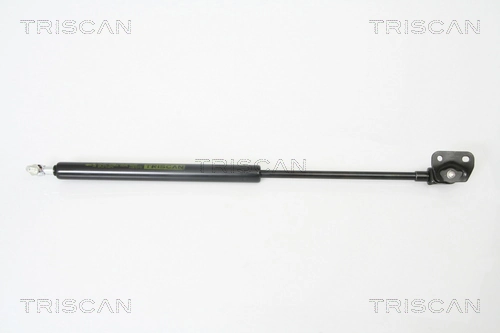 Gas Spring, boot/cargo area