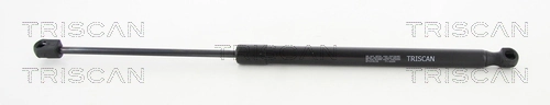 Gas Spring, boot/cargo area