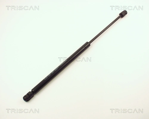 Gas Spring, boot/cargo area