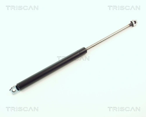 Gas Spring, boot/cargo area