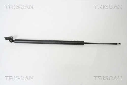 Gas Spring, boot/cargo area