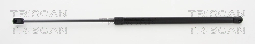Gas Spring, boot/cargo area