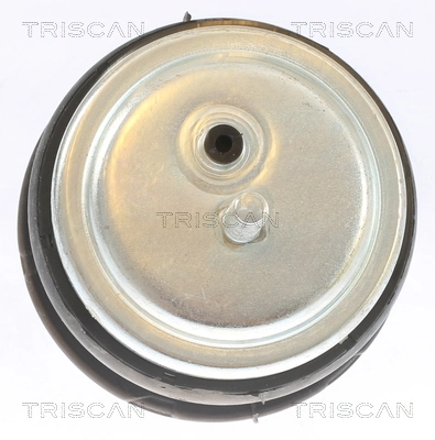 Mounting, engine