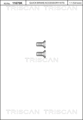 Vis, disque de frein