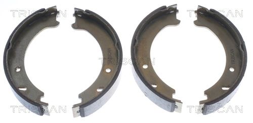 Parking Brake Shoe Set