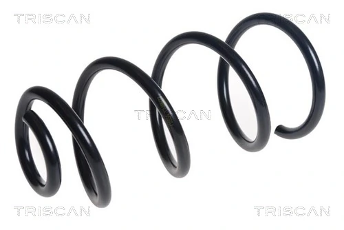 Fjeder
