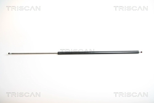 Gas Spring, boot/cargo area