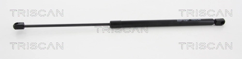 Gas Spring, boot/cargo area