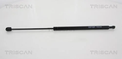 Gas Spring, boot/cargo area