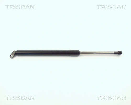 Gas Spring, boot/cargo area