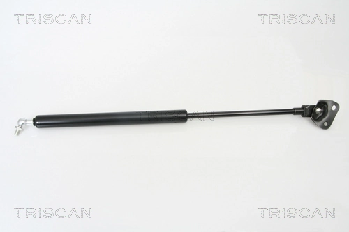 Gas Spring, boot/cargo area