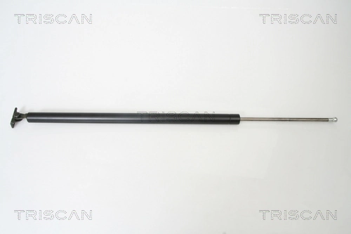 Gas Spring, boot/cargo area
