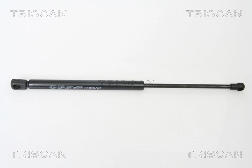 Gas Spring, boot/cargo area
