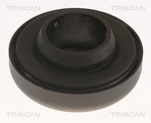 Rolling Bearing, suspension strut support mount